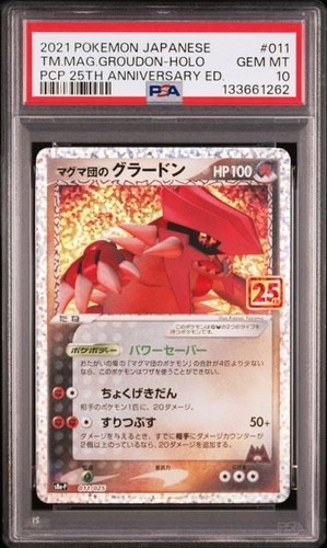Pokemon japanese team - pokemon, magma's
