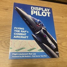 Display Pilot: Flying the