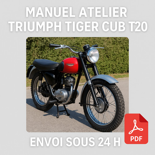 Manuel atelier triumph - manuel, tiger