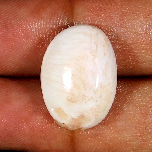 1cts cabochon ovale - 14.1cts.,