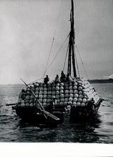 EGYPTE c. 1950 - Bateau sur le
