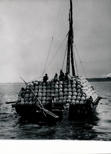 Egypte 1950 bateau - egypte,