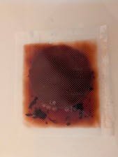 Mère de vinaigre 8cm