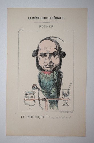 Rouher perroquet caricature - perroquet,