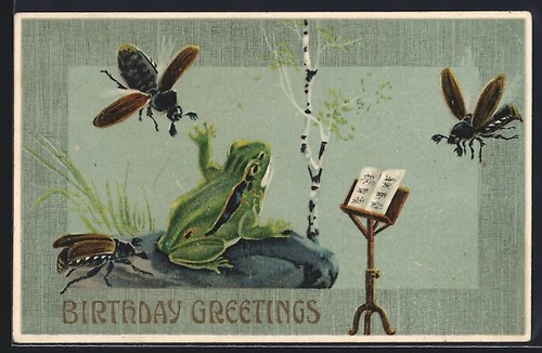 Carte postale grenouille avec