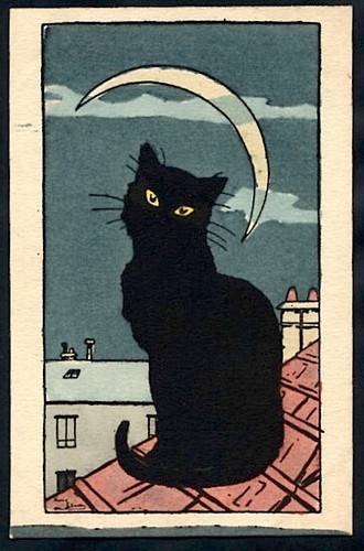 Harry eliott les chats - harry,