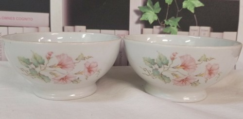 Bols ancien porcelaine - bols,