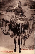 CPA Les Pyrénées Une Faneuse