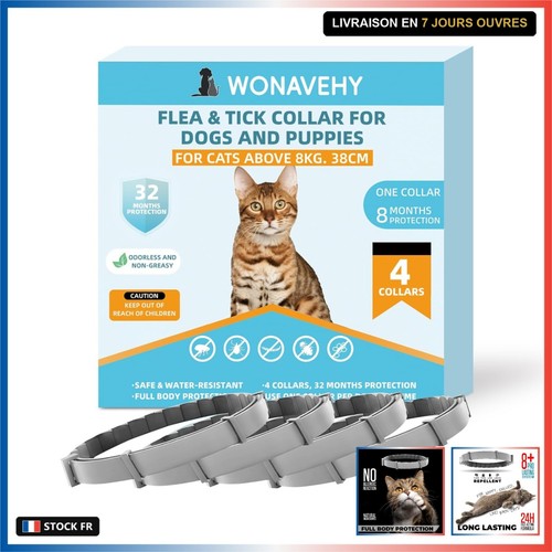 Lot colliers - lot,