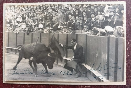 Antonio canero autographe - ,
