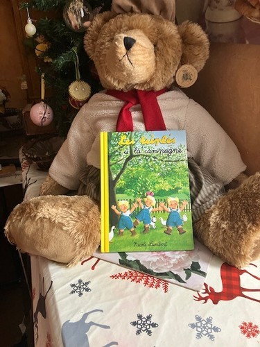 Livre les triples la - livre,