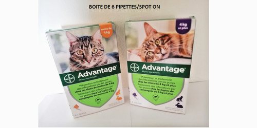 Advantage chat lapin - advantage¹, 40-80