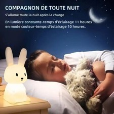 Figurine Lapin Lumineux
