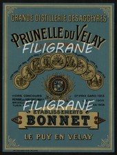 PRUNELLE du VELAY BONNET Rycy