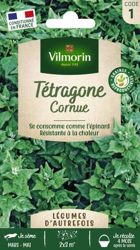 Graines tétragone cornue - de,