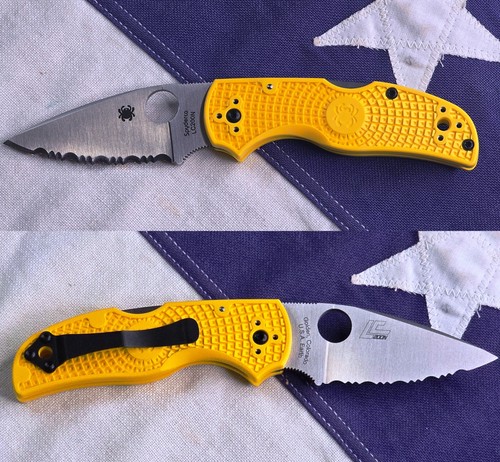 Spyderco native salt cpm - salt,