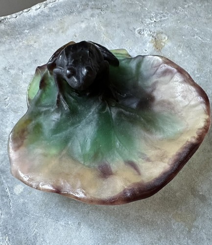 Grenouille sur feuille