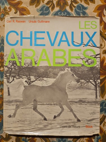 Les chevaux arabes ursula - arabes,