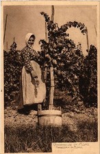 CPA AK Vendangeuse en Alsace -