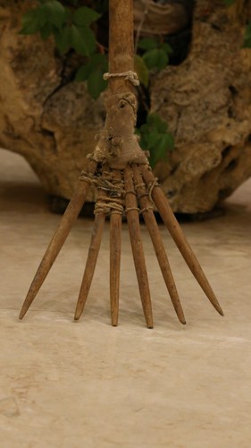 Ancienne fourchette primitive