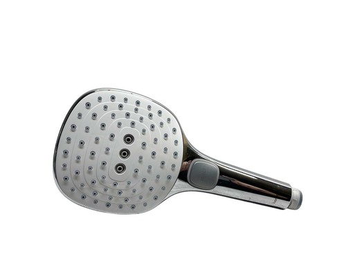 Douchette hansgrohe raindance - douchette,