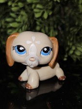 ✨️Littlest Pet Shop # 1491