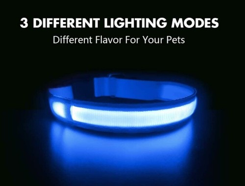 Led collier chien lumière - collier,