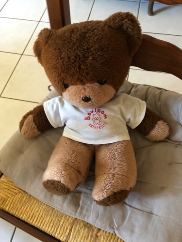 Ours boulgom peluche - ours,