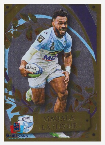 Panini rugby top - top, 14