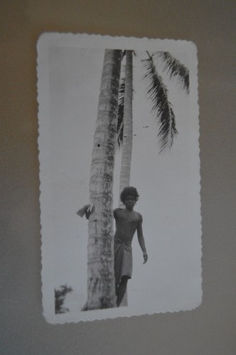 Papouasie nouvelle guinée - papouasie,