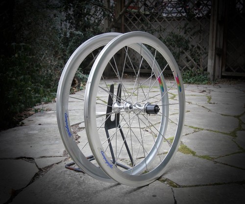 Nos campagnolo shamal 1st - 26",