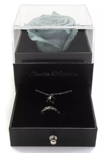 Ensemble bagues collier - ensemble, en