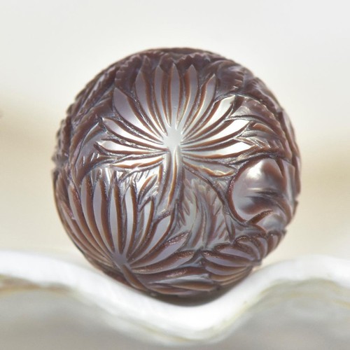 Perle tahitienne sud en - perle,