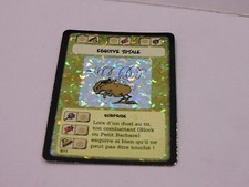 TRADING CARD - KID PADDLE -