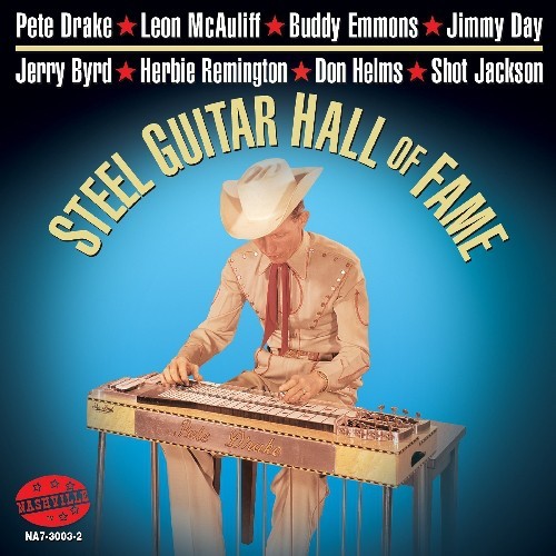 Various artists steel guitar - steel,