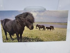 NESLE - MERVEILLES DU MONDE : CARTE " LE PONEY SHETLAND #181 " VINTAGE 1980