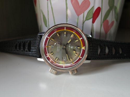 Lip nautic ski electronic - lip, r184