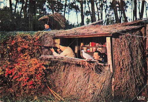 Landes une palombiere - 40,