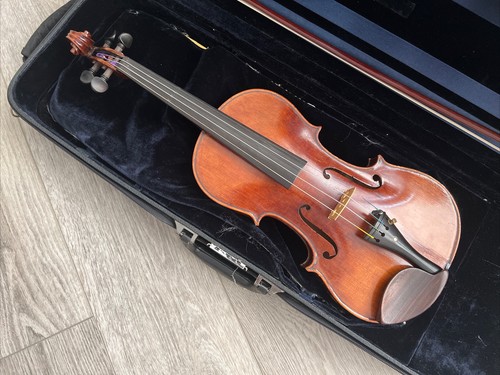 Violin professional - violin,