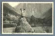 France, Fond de France, Jeunes femmes juchées sur une botte de foin  Vintage sil