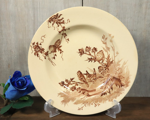 Assiette creuse ancien - creuse, en