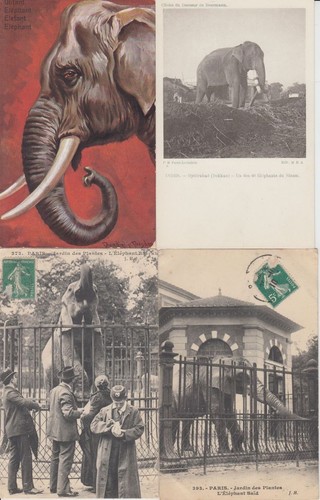 Elephants vintage animal - vintage,