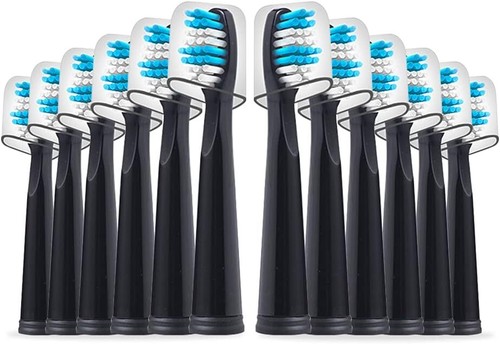 10pcs tête brosse dents - tête, de