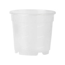 Vase Pour Orchidée Ø14CM