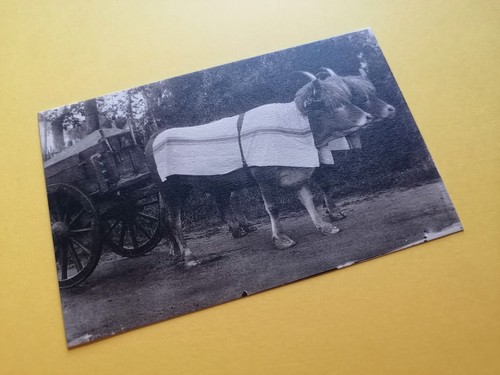 Cpa photo marcel delboy - cpa,