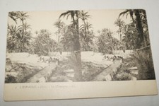 ESPAGNE ELCHE LA CAMPAGNE CPA STEREOSCOPIQUE  R1997 PALMIER CANAL