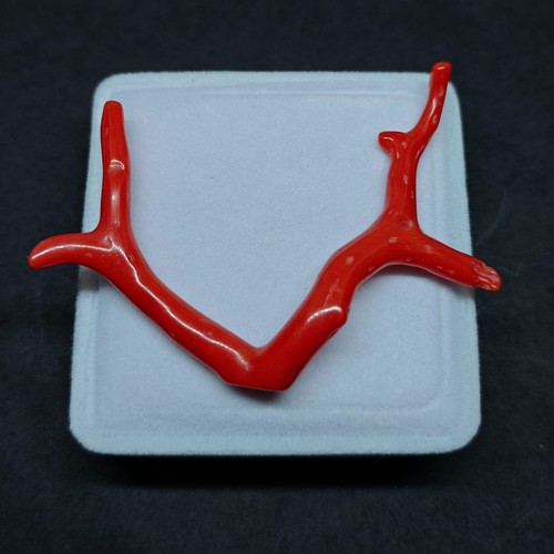 Bâton branche corail poli - de,