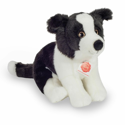 Teddy hermann border collie - teddy,