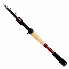 Canne à pêche DAIWA Bass Rod