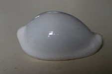 collection coquillage OVULA OVUM PORCELAINE 80mm NOUVELLE CALEDONIE